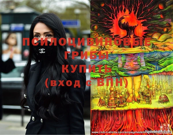 ALPHA-PVP Няндома