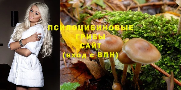 Альфа ПВП Новозыбков