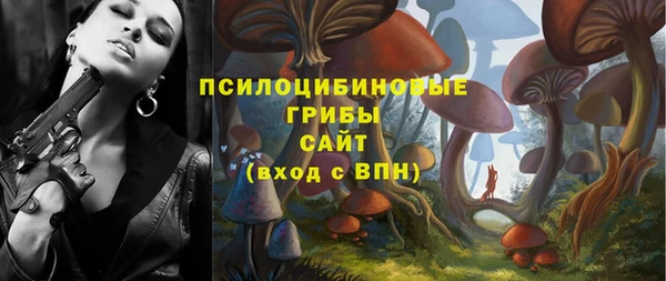 мяу мяу мука Новодвинск