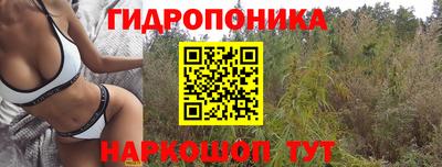 винт Абинск