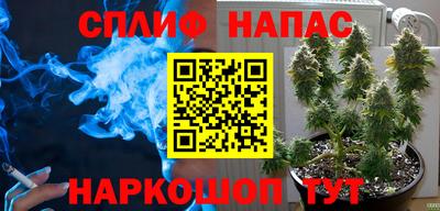 спиды Гагарин