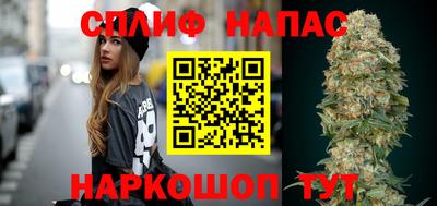 спиды Гагарин