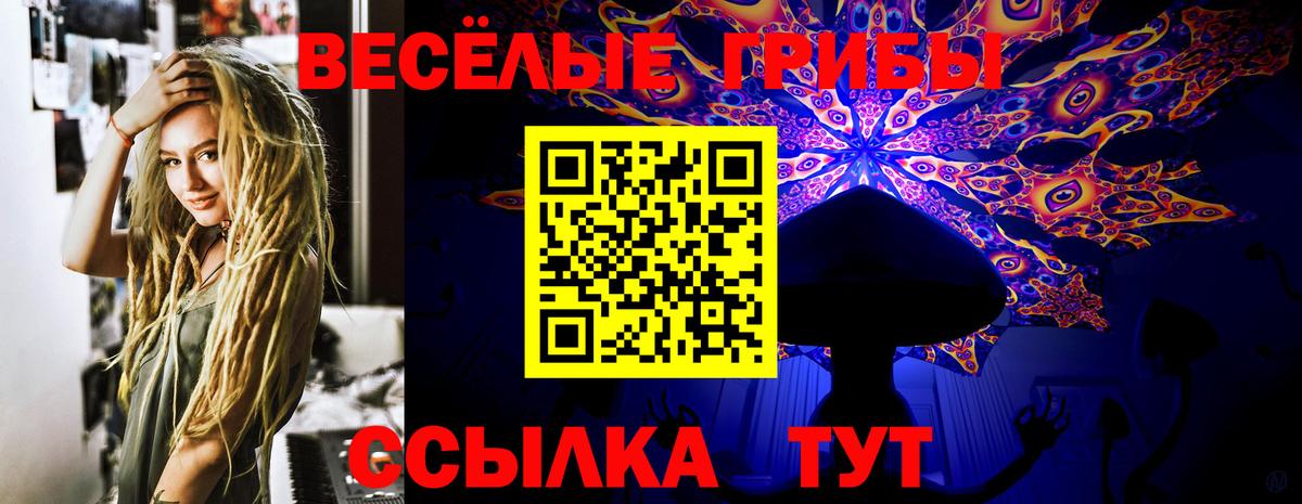 Псилоцибиновые грибы Psilocybine cubensis  Зима 