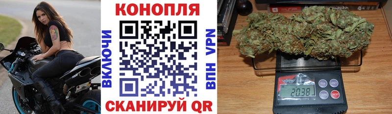 Бошки Шишки индика Зима